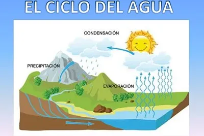 Â¿QuÃ© es?