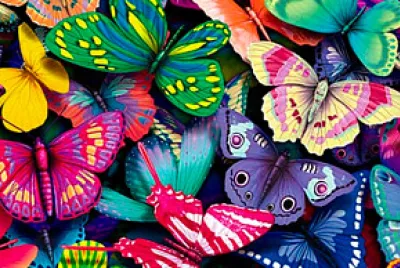 mariposas jigsaw puzzle