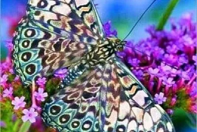 marip5 jigsaw puzzle