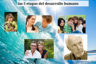 ETAPAS DEL DESARROLLO HUMANO