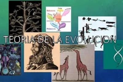 TEORÃAS DE LA EVOLUCIÃ“N