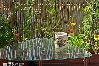 A cup cocoa jigsaw puzzle