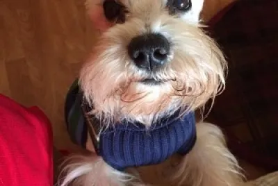 Nicky