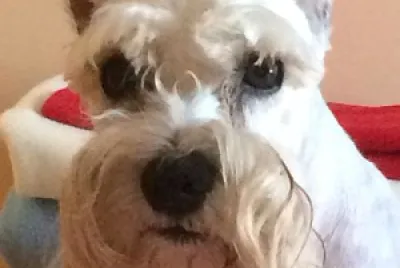 Nicky