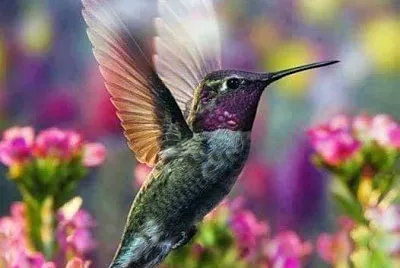 imagem jigsaw puzzle