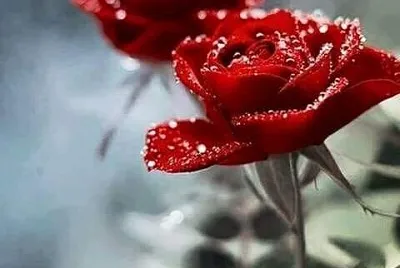 imagem jigsaw puzzle