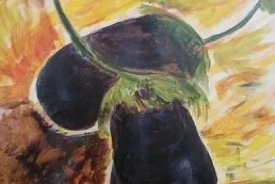 ×–×•×’ ×—×¦×™×œ×™×