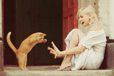 wild cat