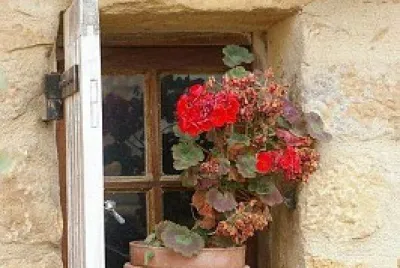 ventana