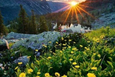AMANECER