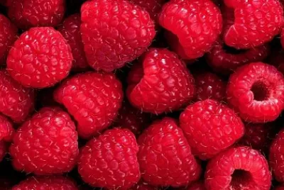 Red Raspberries