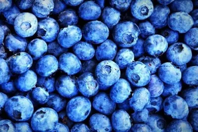 Blueberries