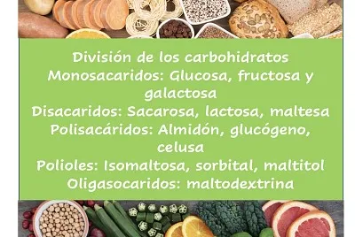 DivisiÃ³n de carbohidratos