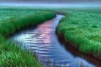 riachuelo