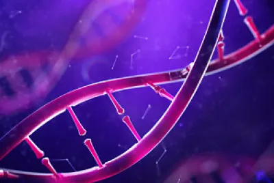 biomolecula