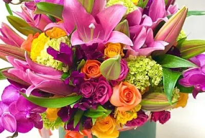 flores