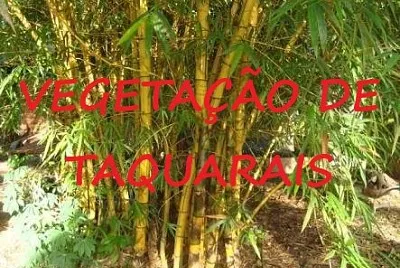 Quebra-cabeÃ§a