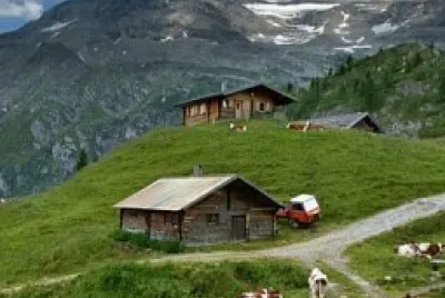 CAMPO