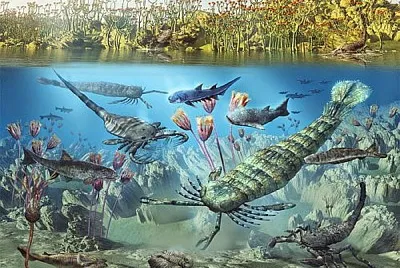 Â¿QuÃ© periodo del eÃ³n Fanerozoico se muestra en la