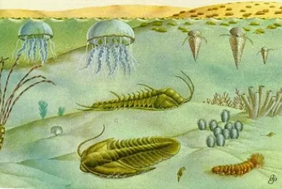 Â¿QuÃ© periodo del eÃ³n Fanerozoico se muestra en la