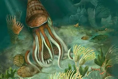 Â¿QuÃ© periodo del eÃ³n Fanerozoico se muestra en la