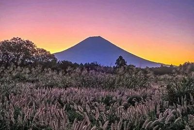 imagem jigsaw puzzle
