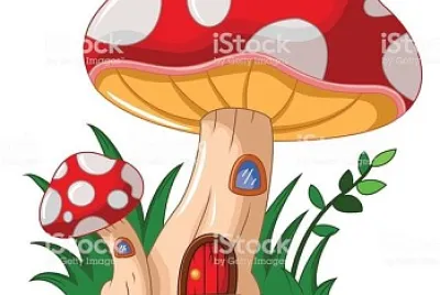 HONGOS jigsaw puzzle
