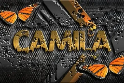 anacamila10