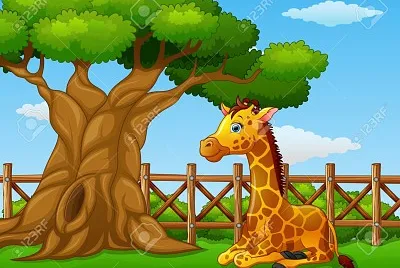 animales