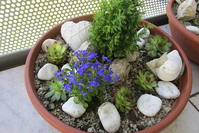Steinschale