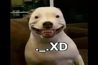 ._. XD jigsaw puzzle