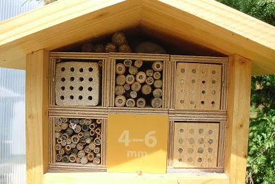 Insektenhaus