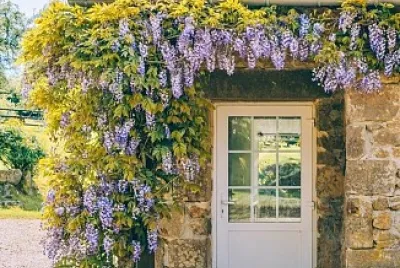 flores jigsaw puzzle