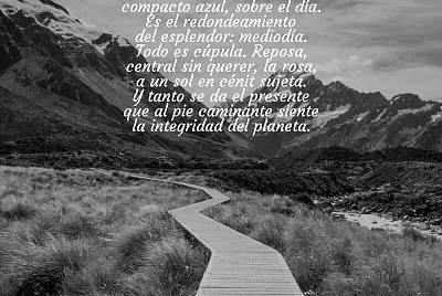 EL TEXTO jigsaw puzzle