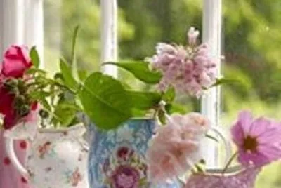 flores