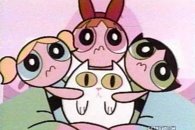 chichas super poderosas gato