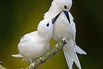 love jigsaw puzzle