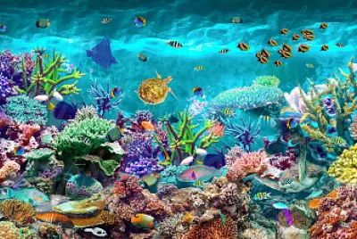 Fundo do Mar
