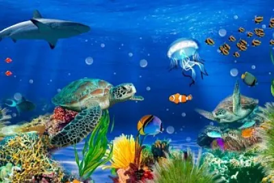 Fundo do Mar