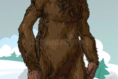 Yeti
