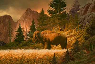 buffalo, rocky mountains