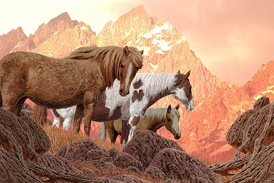 Wild Horses jigsaw puzzle