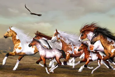 פאזל של Wild Horses.
