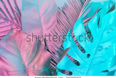 tropical palm leaves vibrant bold