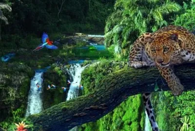 Amazonia