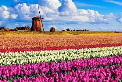 Holanda jigsaw puzzle