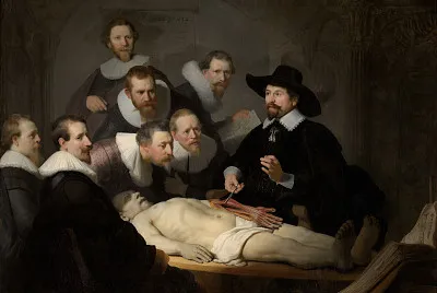 Anatomia