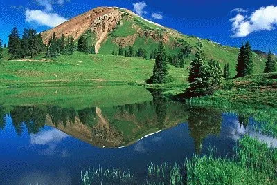 Belleza verde jigsaw puzzle
