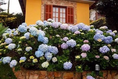 imagem jigsaw puzzle