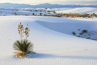 dÃ©sert blanc